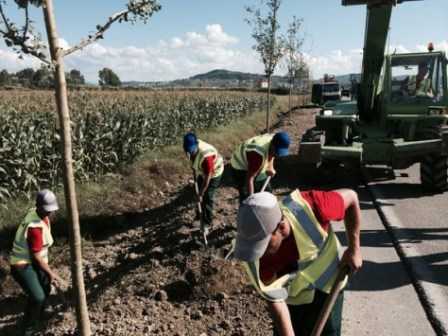 Projekti per Gjelberimin e rrugeve, nis puna ne aksin Rinas-Tirane